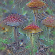 n07734744 mushroom